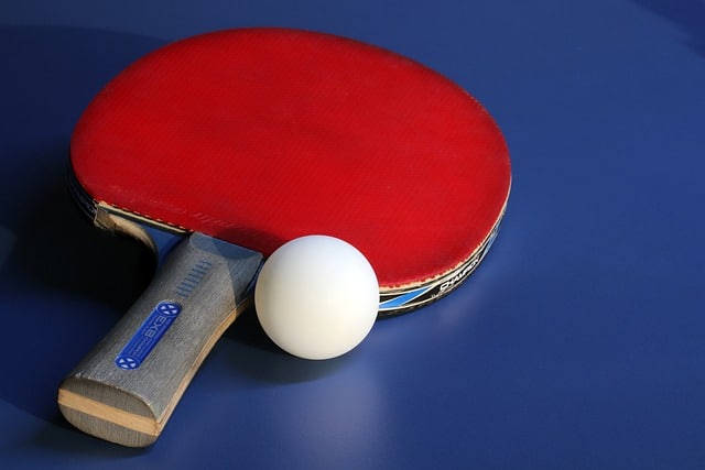 What Kind of Ping Pong Paddle Should I Choose For My Home?